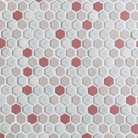 ラズベリー畑 - Raspberry field  -