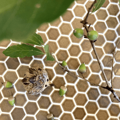 ディープキャメル 単色(丸/六角)