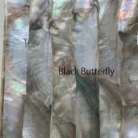 Black Butterfly. / SIGNS & GOODS! Co. Original.