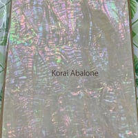 Korai Abalone. / SIGNS & GOODS! Co. Original.