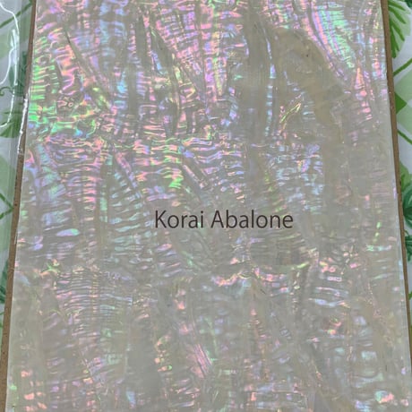 Korai Abalone. / SIGNS & GOODS! Co. Original.