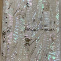 Mexican Peacock. / SIGNS & GOODS! Co. Original.