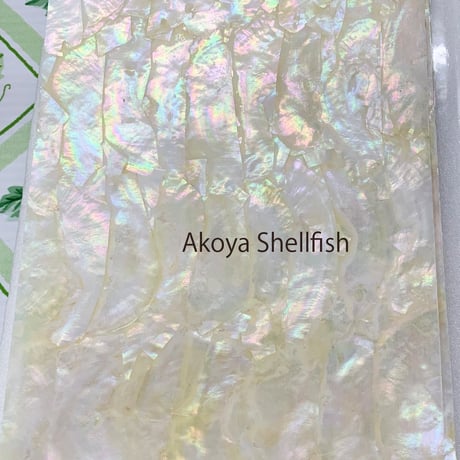 Akoya Shellfish. / SIGNS & GOODS! Co. Original.