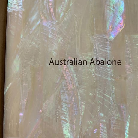 Australian Abalone. /SIGNS & GOODS! Co. Original.