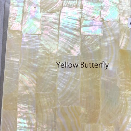 Yellow Butterfly. / SIGNS & GOODS! Co. Original.
