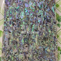 NZ Abalone. / SIGNS & GOODS! Co. Original.