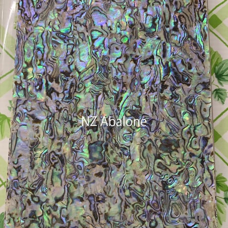 NZ Abalone. / SIGNS & GOODS! Co. Original.