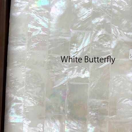 White Butterfly. / SIGNS & GOODS! Co. Original.