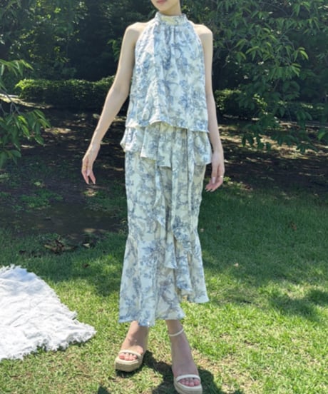 Fuji setup-Toile de Jouy