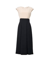 dot bicolor dress