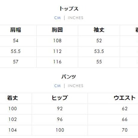 可愛いトップス+パンツ 2点Bセットsus150