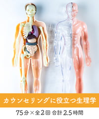【身体のしくみ講座】　〜カウンセリングに役立つ生理学〜