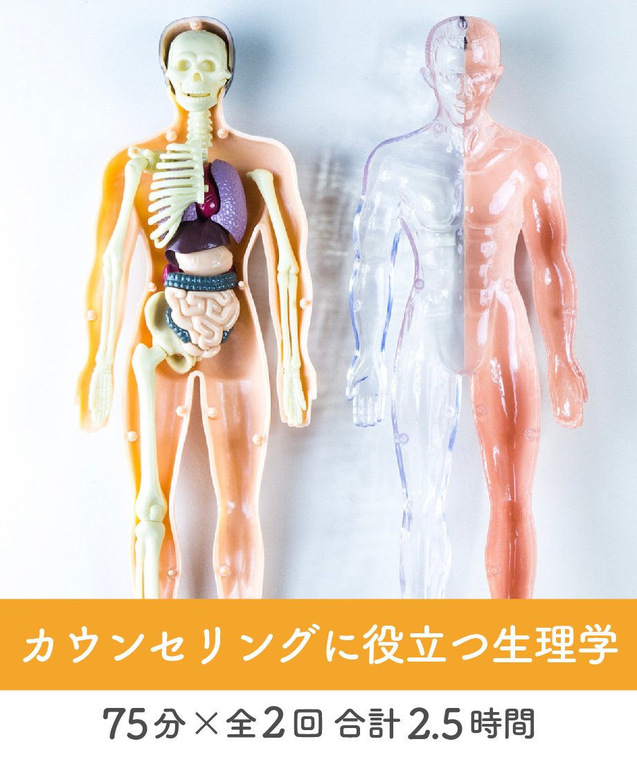679dc8c4ff119b41a4fb8dc2