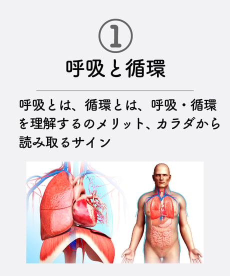 【身体のしくみ講座】　〜カウンセリングに役立つ生理学〜
