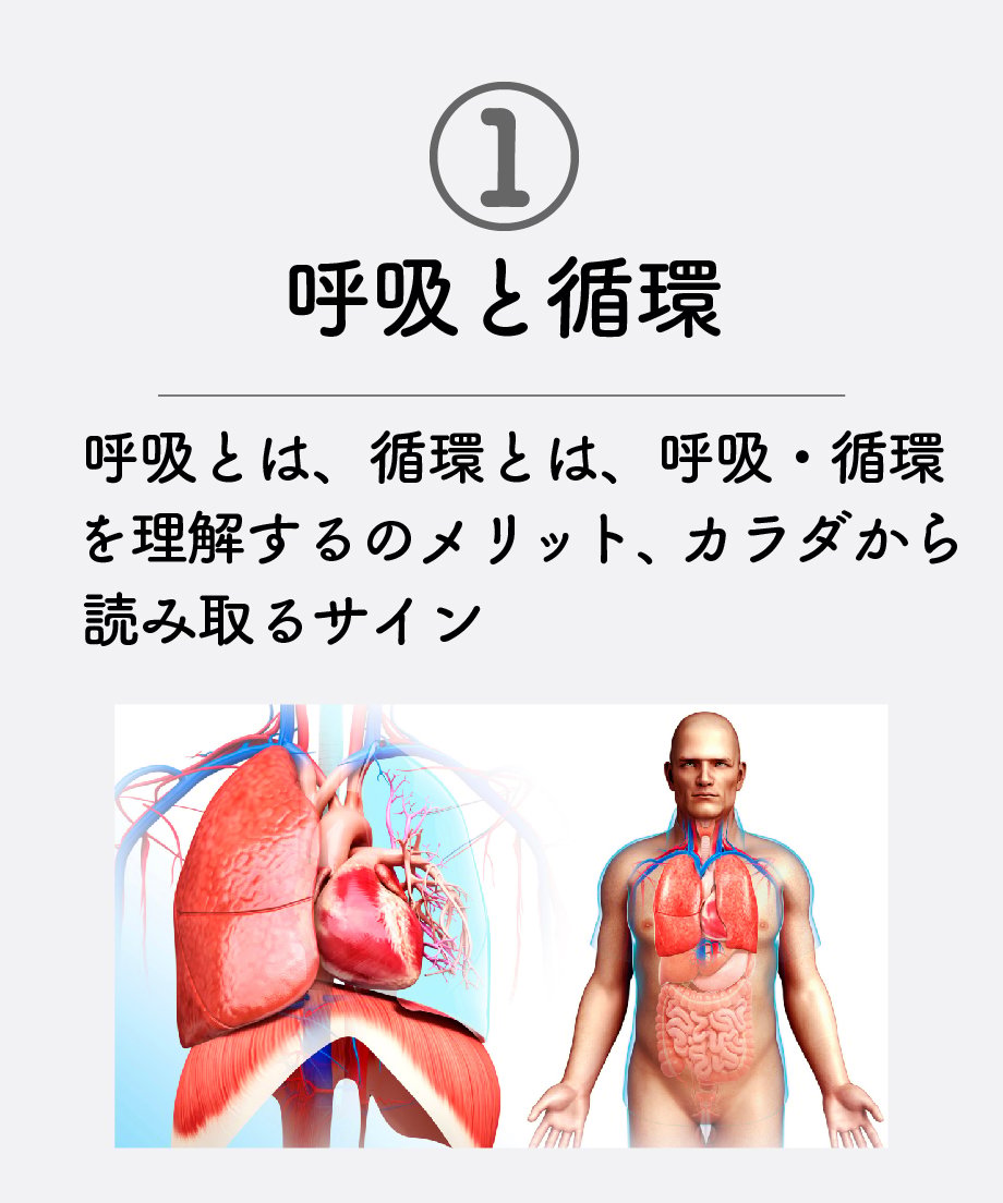 679dc8c4ff119b41a4fb8dc2