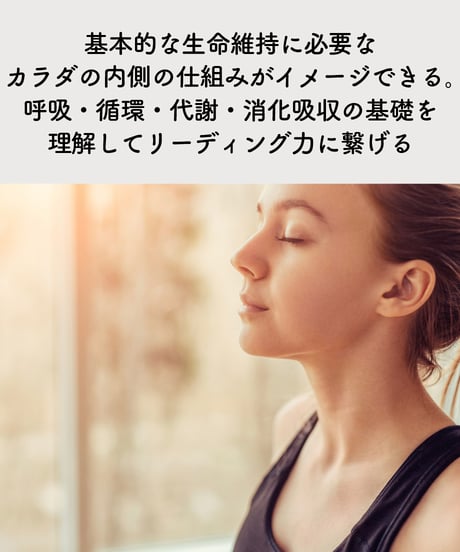 【身体のしくみ講座】　〜カウンセリングに役立つ生理学〜