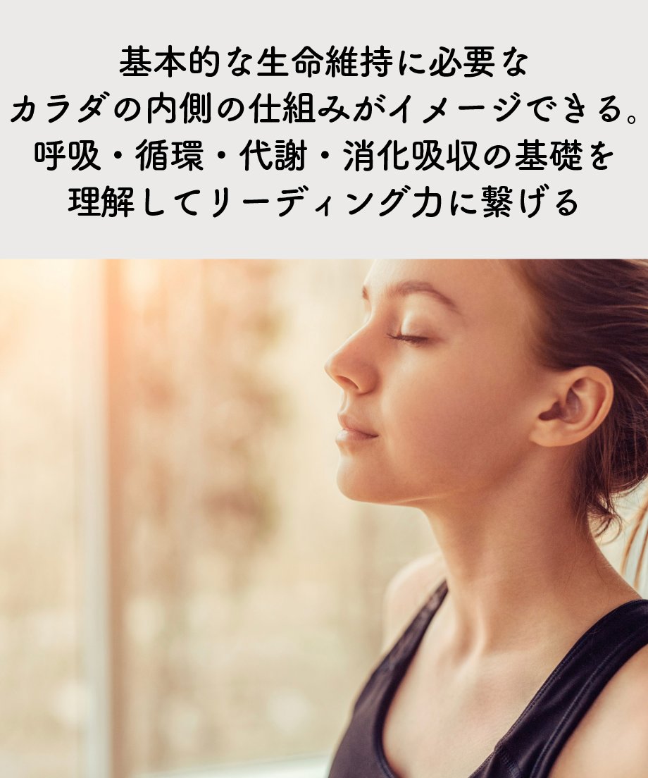 679dc8c4ff119b41a4fb8dc2