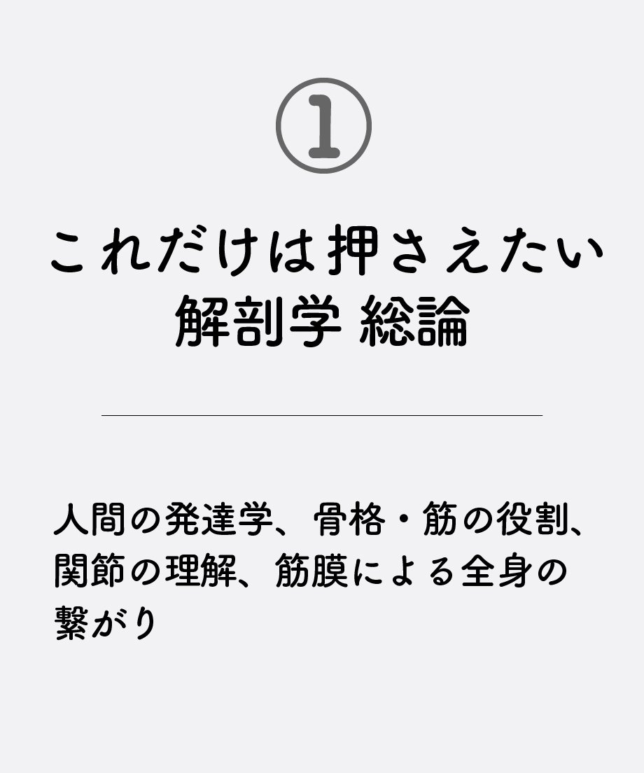 679dc772f6dd21264a57bbf9