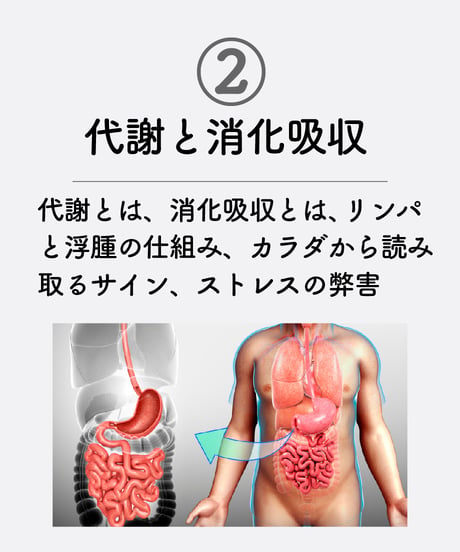 【身体のしくみ講座】　〜カウンセリングに役立つ生理学〜