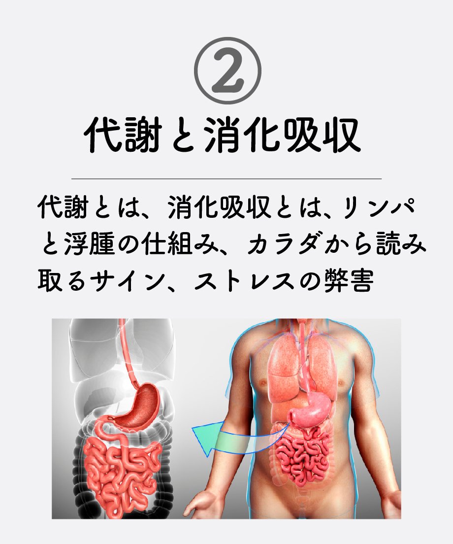 679dc8c4ff119b41a4fb8dc2