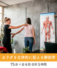 【身体のしくみ講座】　〜カラダを立体的に捉える解剖学〜