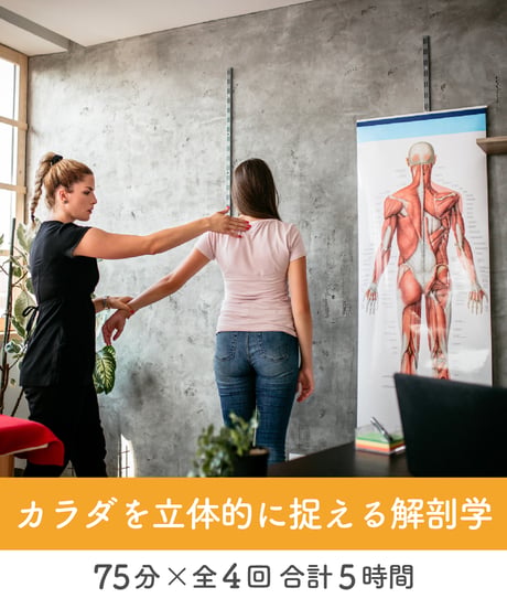 【身体のしくみ講座】　〜カラダを立体的に捉える解剖学〜