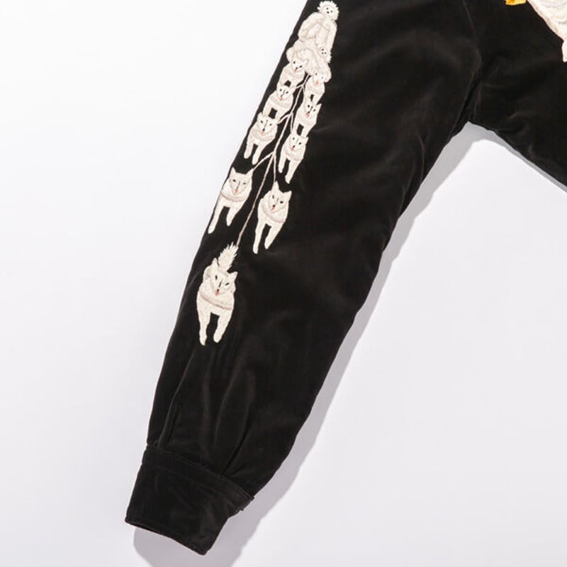 テーラー東洋 2004年春モデル 希少 テーラー東洋 2004年春モデル 希少