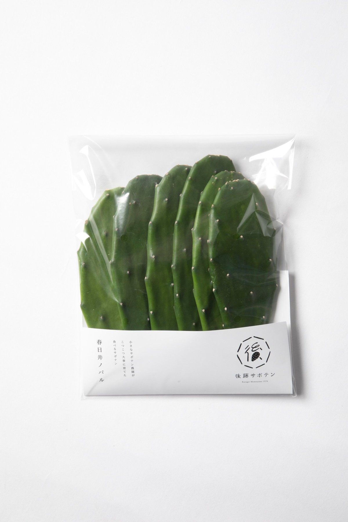 春日井ノパル（食用サボテン） 300g | GO TO SABOTEN