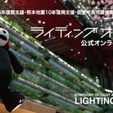 LIGHTING OBJET