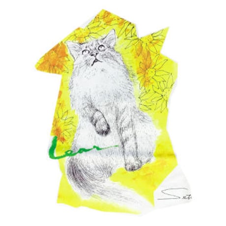 156 朝倉摂／ねこのＴシャツ・リア（カラー）