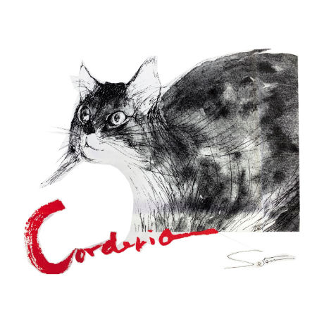 159 朝倉摂／ねこのＴシャツ・コーデリア（赤文字）