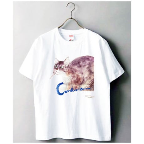 158 朝倉摂／ねこのＴシャツ・コーデリア（カラー）