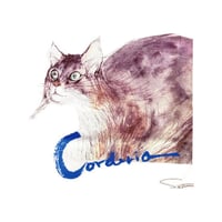 158 朝倉摂／ねこのＴシャツ・コーデリア（カラー）