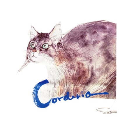 158 朝倉摂／ねこのＴシャツ・コーデリア（カラー）