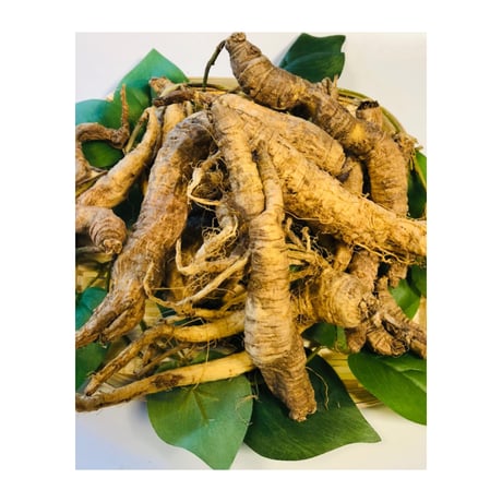 安曇野薬膳麺(5食入り）