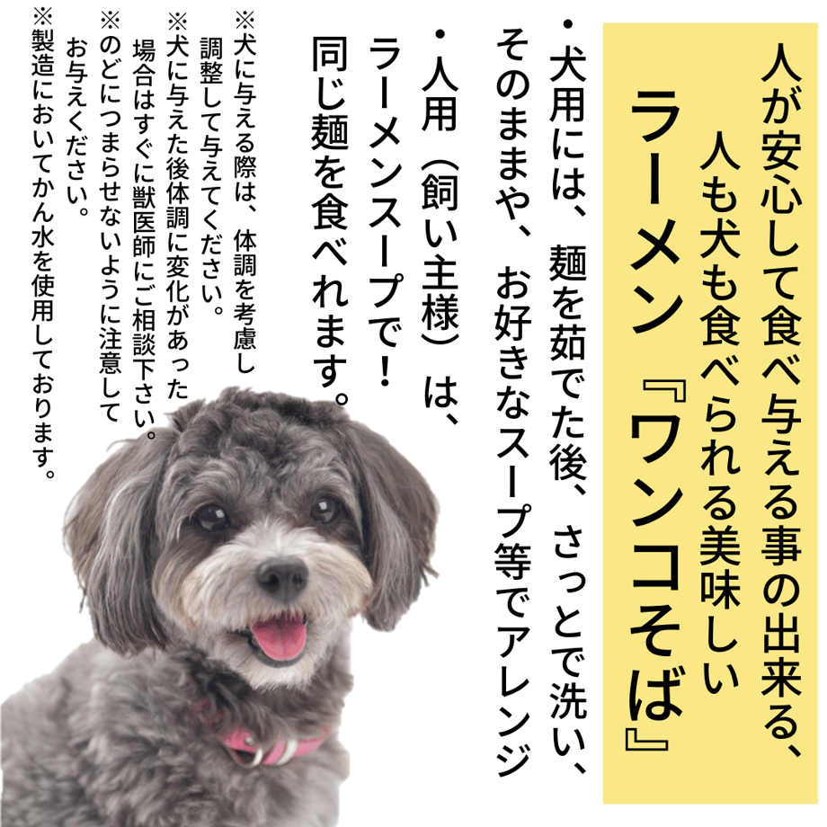 632fca7d2e74520f477eeadb