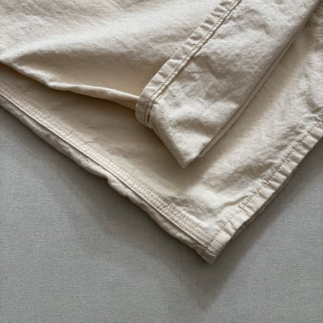 WIDE FIT 30'S PAINTER PANTS (ECRU) 01-5126 / orSlow オアスロウ