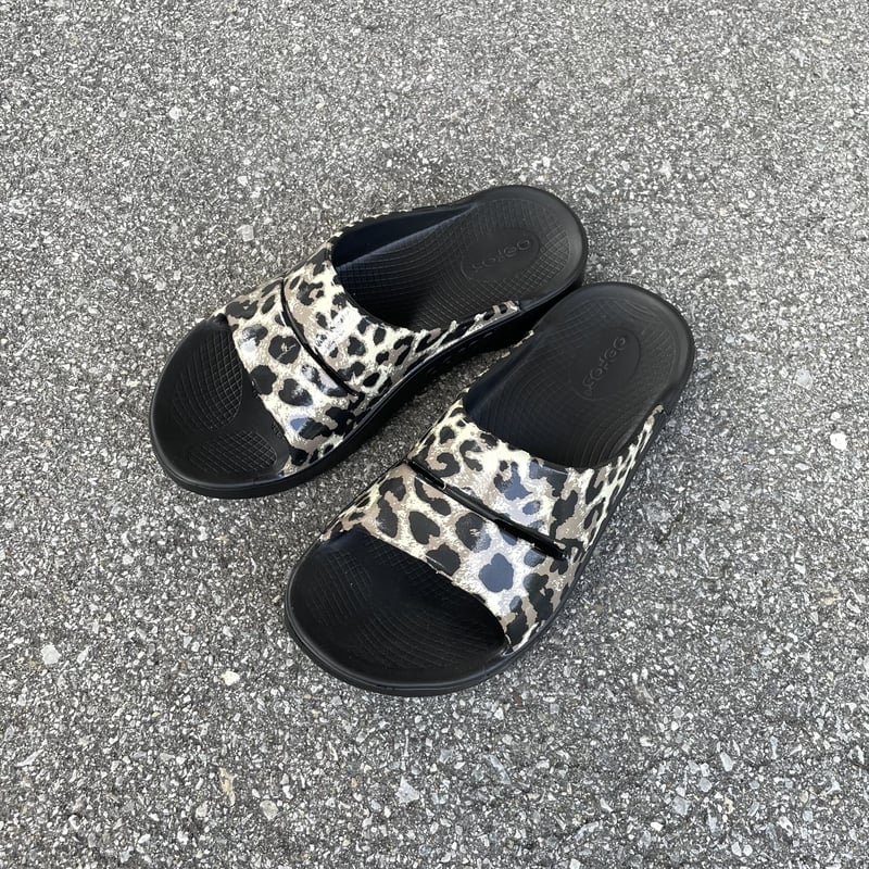 パエリア OOahh Limited (Cheetah) / OOFOS | e-shop/E-SHOP