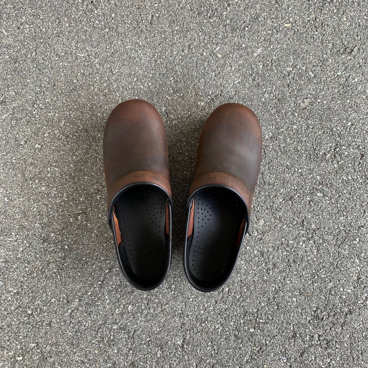 Professional( Antique Brown Oiled) / dansko | e
