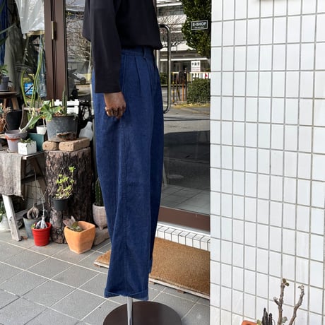 TWO TUCK DENIM WIDE TROUSER (ONE WASH) 03-5021 / orSlow オアスロウ