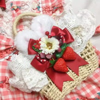 ロリータ バッグ 甘ロリ うさ耳 兎 ロリータ小物 ミニバッグ ショルダーバッグ バスケット  萌え