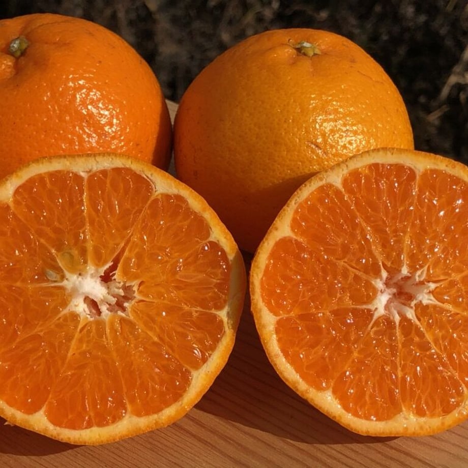 601393006e84d5502596944e