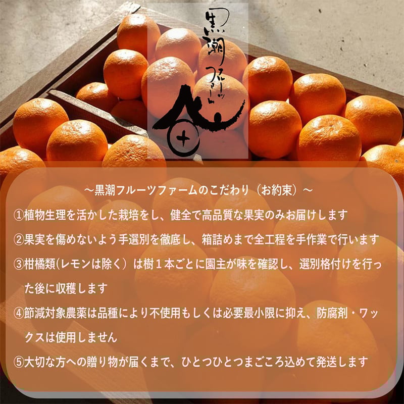 みかん　エステツイン 温州みかん“かほる橘つ華” 2kg（箱込み） | 黒潮フルーツファーム