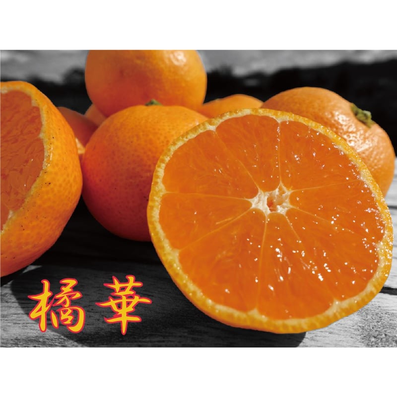 温州みかん“かほる橘華” 1.8kg | 黒潮フルーツファーム