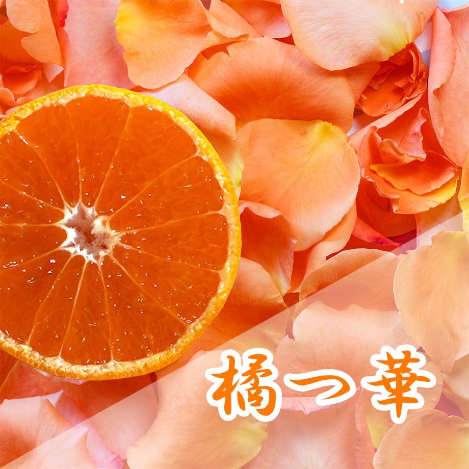 温州みかん“かほる橘つ華” 2kg（箱込み） | 黒潮フルーツファーム