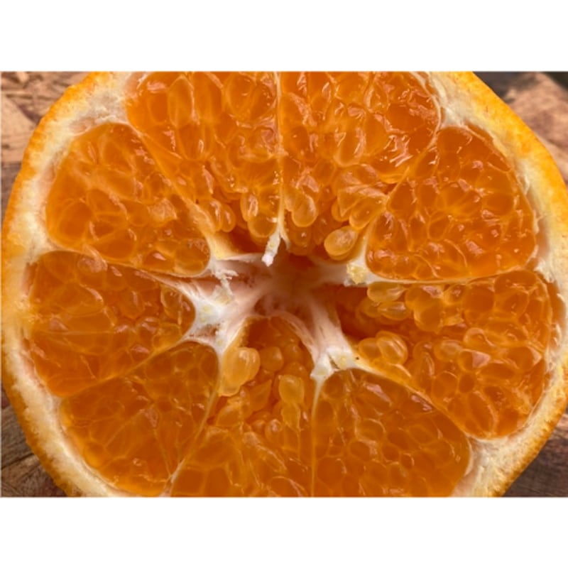 超大玉はるみ 約3.5kg（正味） | 黒潮フルーツファーム