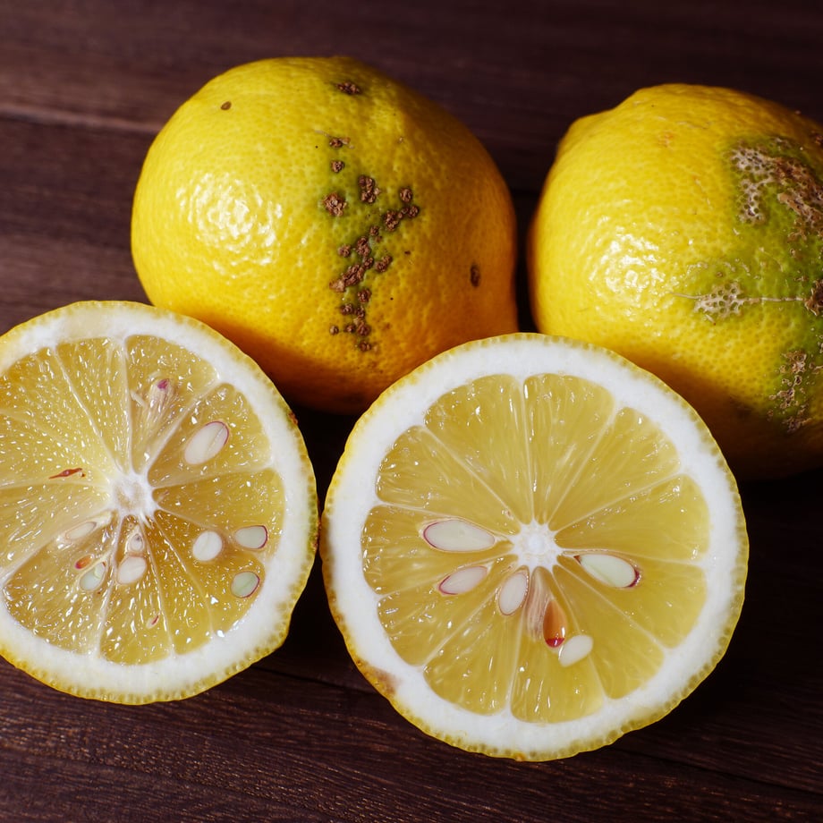 5d6b0d098606481c93d920f2