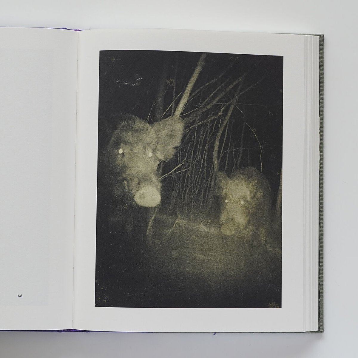 洋書 Night Procession Night Procession | Nobody Books. jp