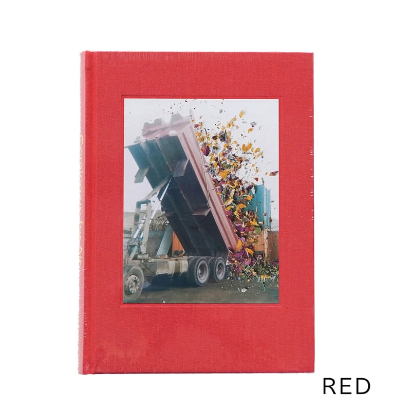 アート・デザイン・音楽 Stephen Gill / Coming Up for Air アート・デザイン・音楽 Stephen Gill / Coming Up for Air Coming up