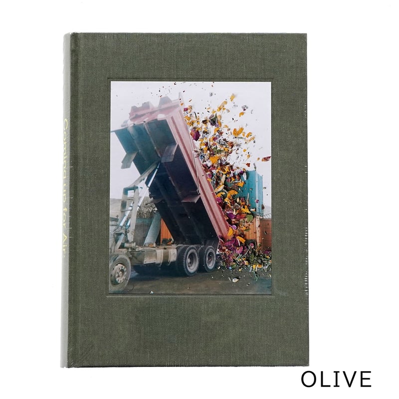 COMING UP FOR AIR: STEPHEN GILL – A RETROSPECTI